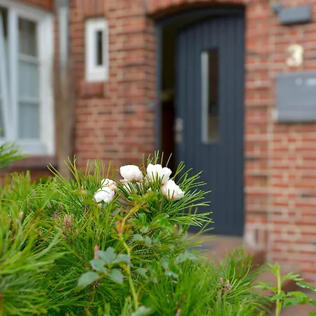 Apartament Bines Hues *